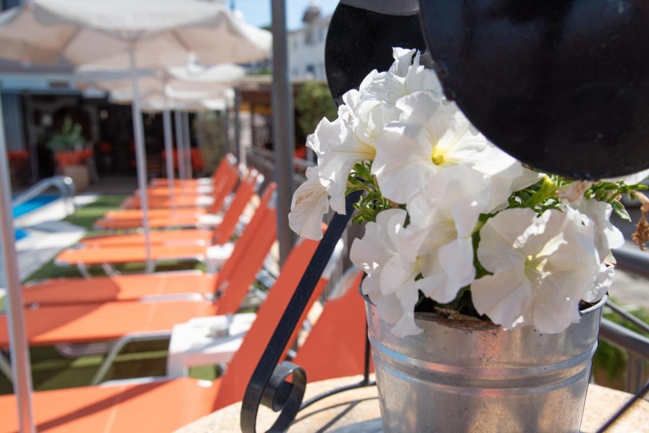 Jasmine & Apartament Agios Stefanos Avliotes (Corfu)